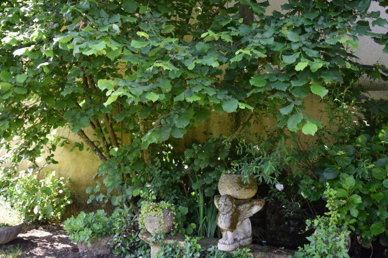 L'Intemporelle B&B Le Buisson-de-Cadouin Εξωτερικό φωτογραφία