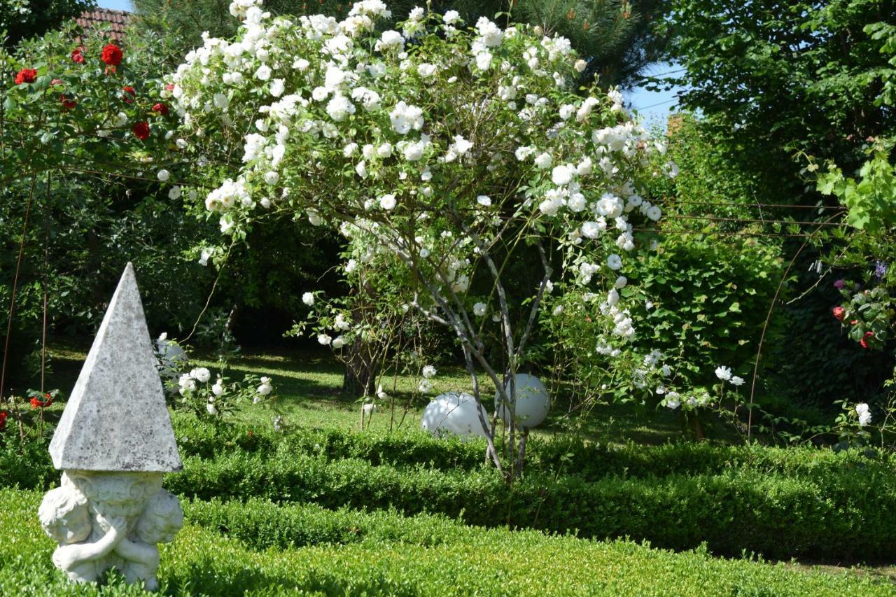 L'Intemporelle B&B Le Buisson-de-Cadouin Εξωτερικό φωτογραφία